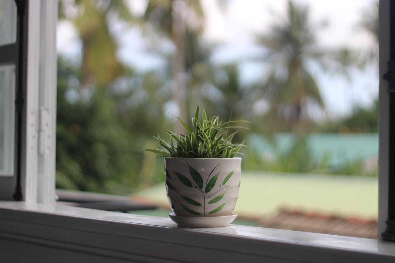 Tiny An Homestay Hue Dış mekan fotoğraf